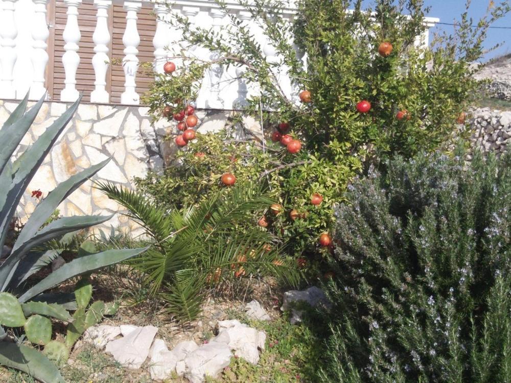 Apartment In Kustici With Balcony, Wifi, Washing Machine Esterno foto